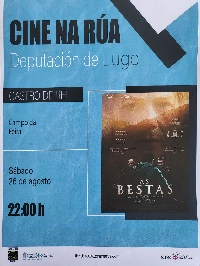 cine na rua castro de rei