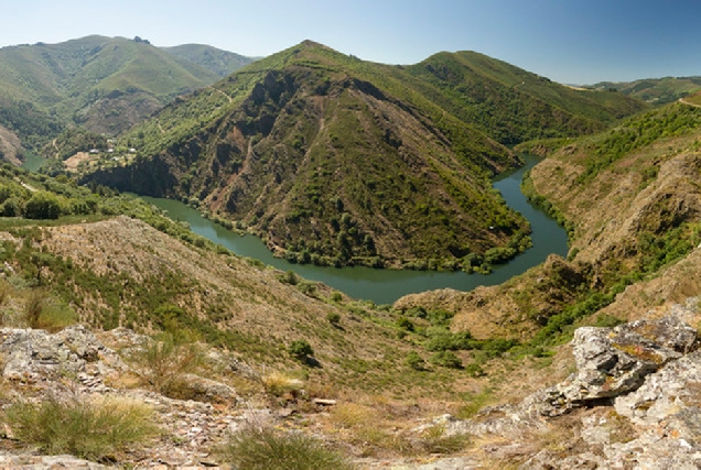 Mirador negueira