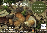 luns micoloxicos as pontes