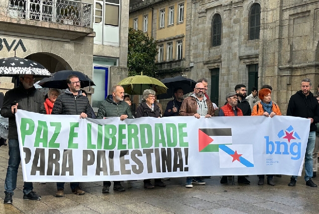 manifestacion palestina lugo