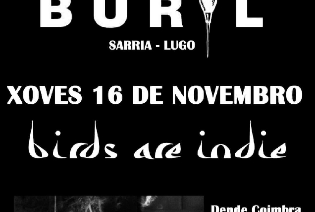 birds_are_indice_concerto_buril_sarria