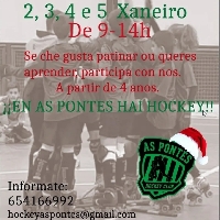 as_pontes_hai_hockey