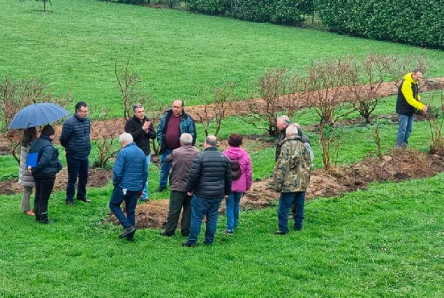 2024 curso poda froiteiras ribadeo