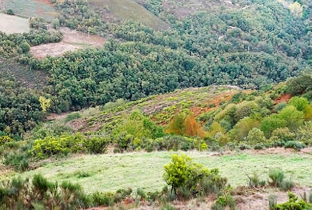 Patrimonio Ancares  Navia de Suarna Os Castros