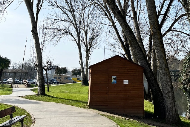 árbore parque dos Condes Monforte