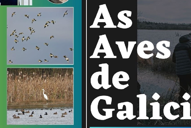 exposicion aves galicia portada