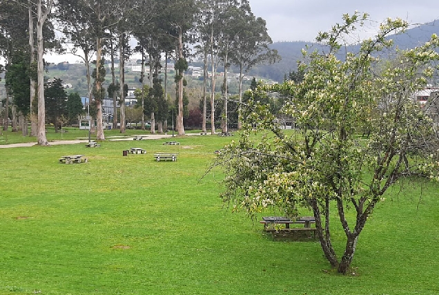 parque pernas peon