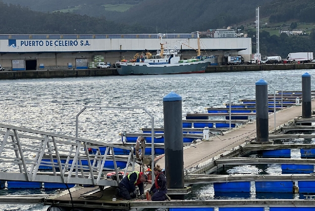 porto celeiro 2024 1