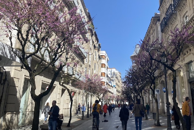 rua_paseo_ourense_recurso