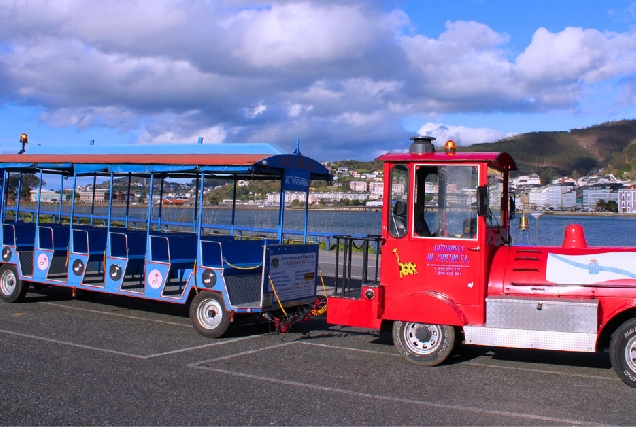 tren turistico panoramico Viveiro 2024