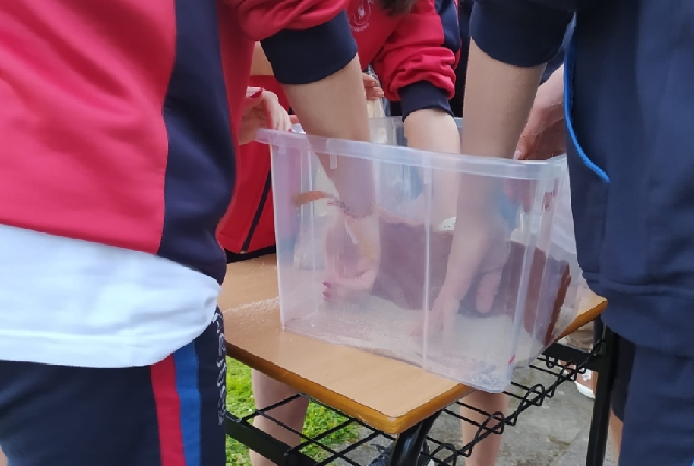 Imaxe dos equipos participantes realizando as probas das IV Olimpíadas de Enxeñaría de Camiños, Canais e Portos celebradas hoxe na Escola de Enxeñaría de Camiños, Canais e Portos