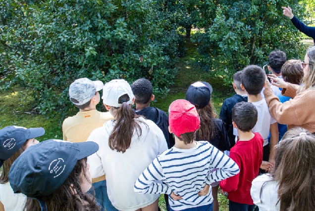 Imaxe dos escolares durante a visita ornitolóxica