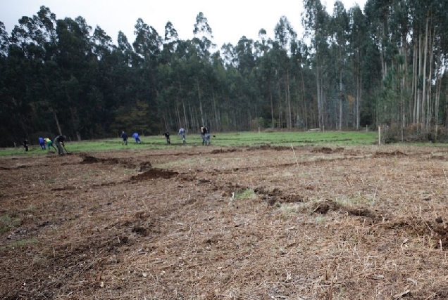 xunta-poligonos-agroforestais