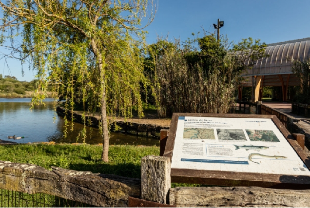 Imaxe do Parque da Lagoa en Mera