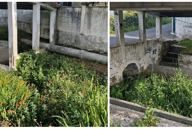 Imaxes da fonte centenaria en Culleredo