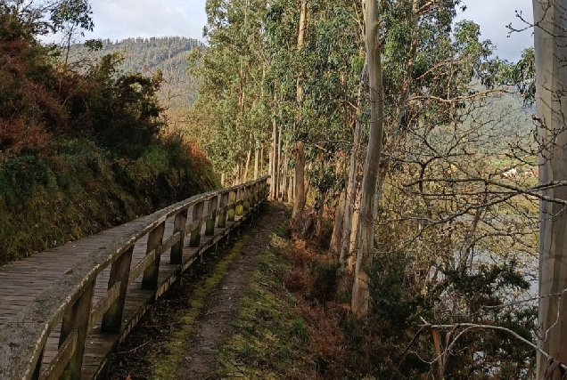 paseo_fluvial_viveiro