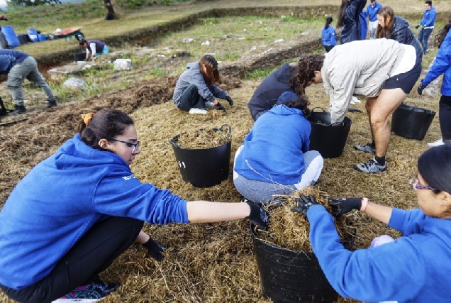 campo-voluntariado-castro-de-viladonga