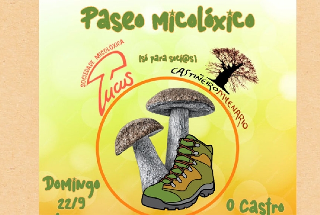 paseo-micoloxico-lucus-castineiro