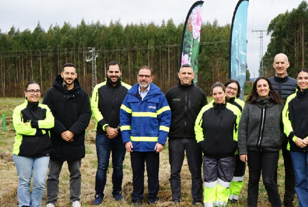 Bosque Bosque Vertex Bioenergy en Curtis