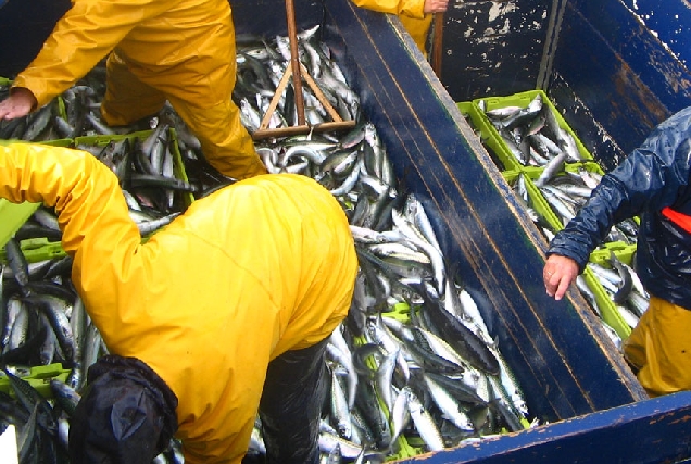 Pescadores-faenando-celeiro