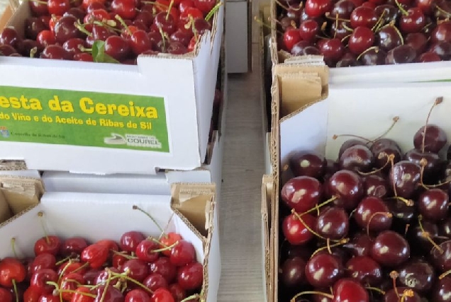 festa-da-cereixa-ribas-de-sil-recurso