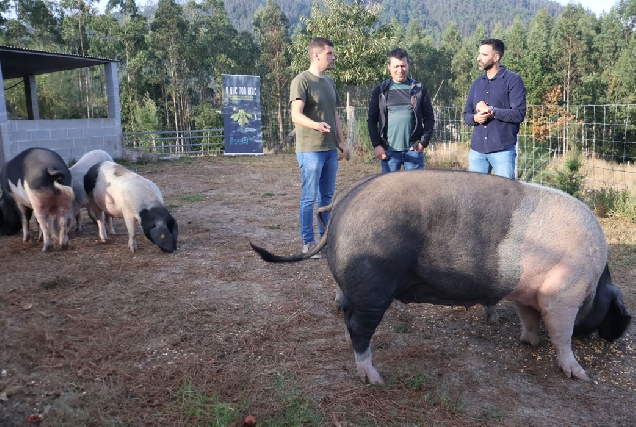 Deputacion-O-que-non-arde-Mondonedo-2025