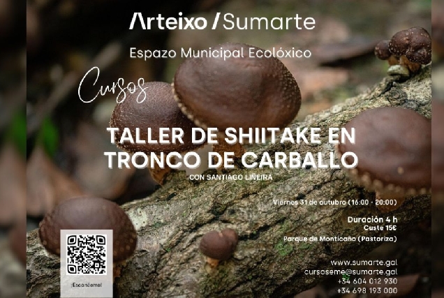 ARTEIXO taller shitake