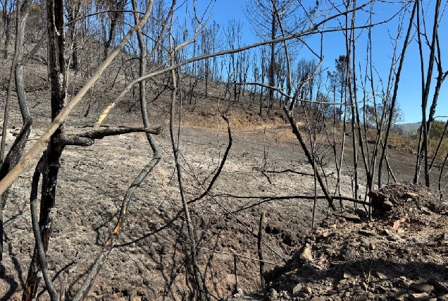 incendio-quiroga