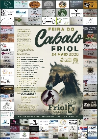 feira-cabalo-friol