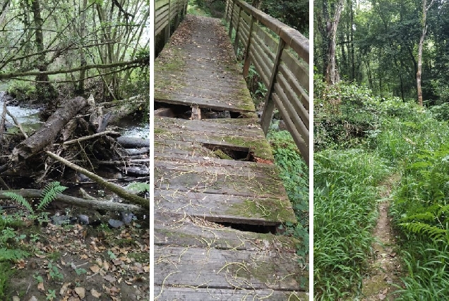 OZA CESURAS desperfectos ruta rio mendo