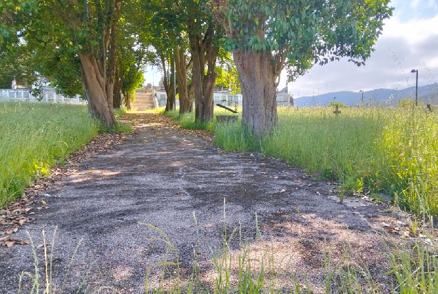 PSOE-MONDOÑEDO-RECLAMA-LIMPEZA-CEMENTERIO-VELLO-8-6-2026