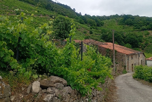 aldea-ribeira-sacra-imaxe-fears
