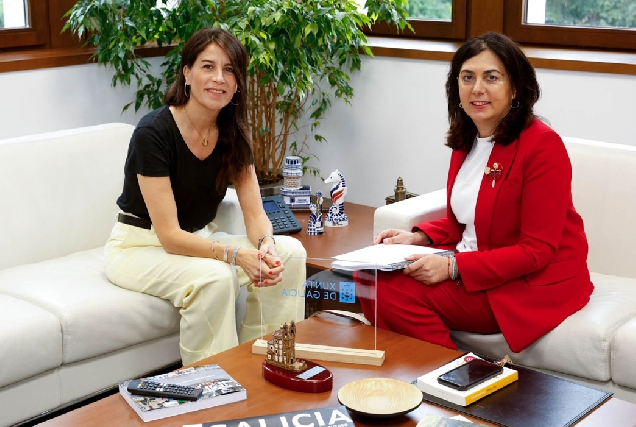 entrega-solicitude-da-ARI-da-Milagrosa-e-Feijóo-Concello-de-Lugo