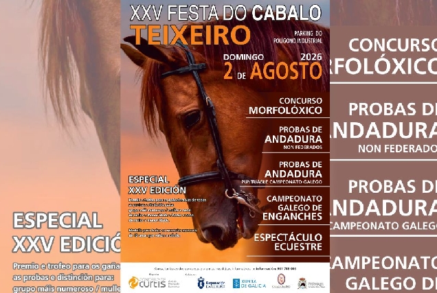 festa-do-cabalo-de-teixeiro