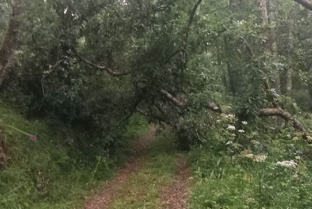 mal-estado-Ruta-de-los-Molinos-rural-Lugo