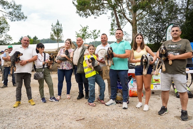 mostra-cans-d-caza-de-abegondo