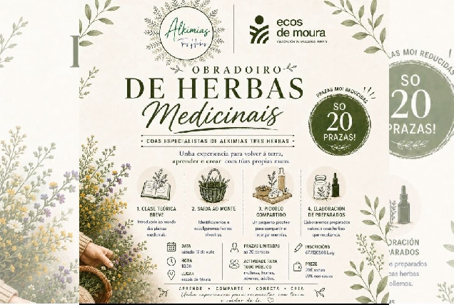 obradoiro-herbas-medicinais-eos-de-moura