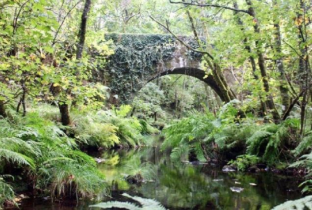ponte-quintela-de-leirado