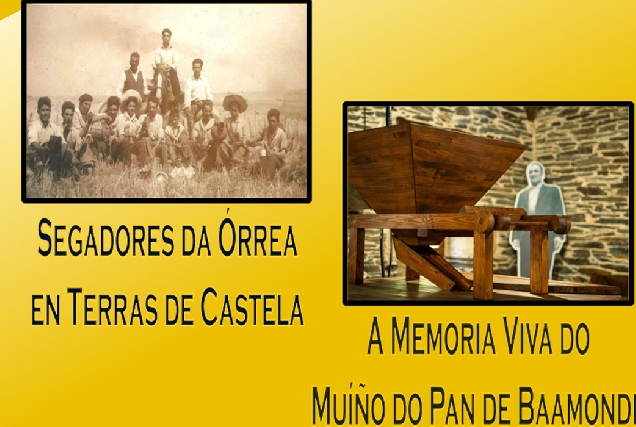 proxeccion-documentais-baamonde